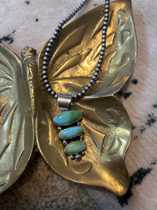 Sonoran pendent